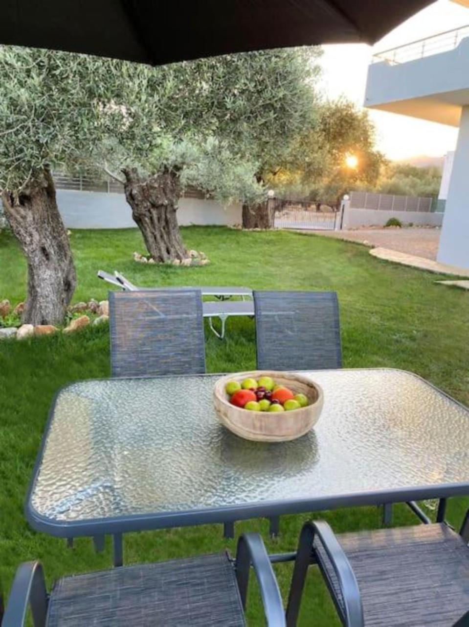 Villa Olives *